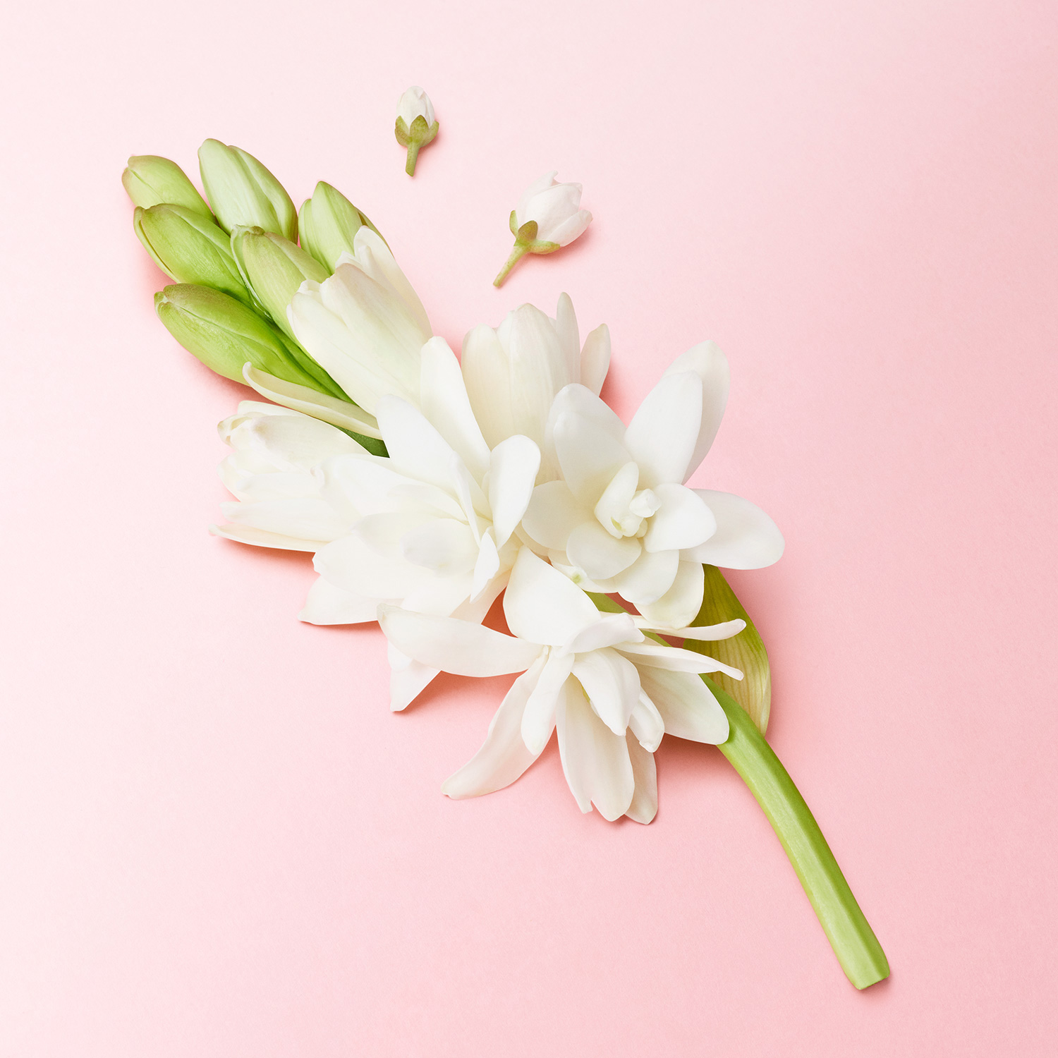 FRAGANCIA MY WAY FLORAL EAU DE PARFUM